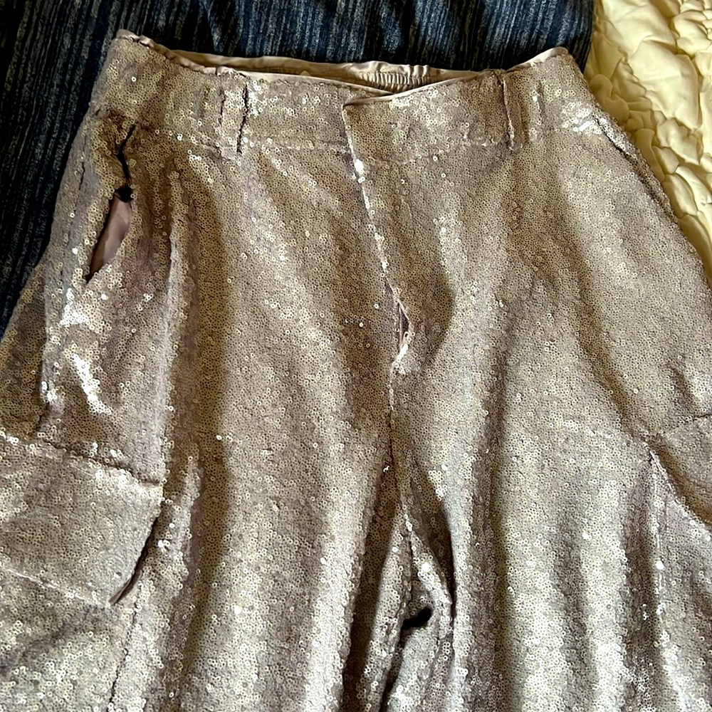 Anthropologie Lilac Sequin Cargo Pants -  Size 10 - Picture 8 of 11